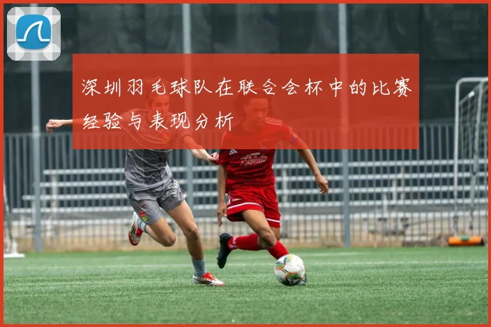 深圳羽毛球队在联合会杯中的比赛经验与表现分析