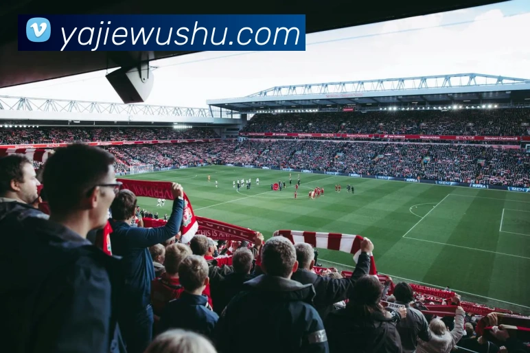 奖项证书